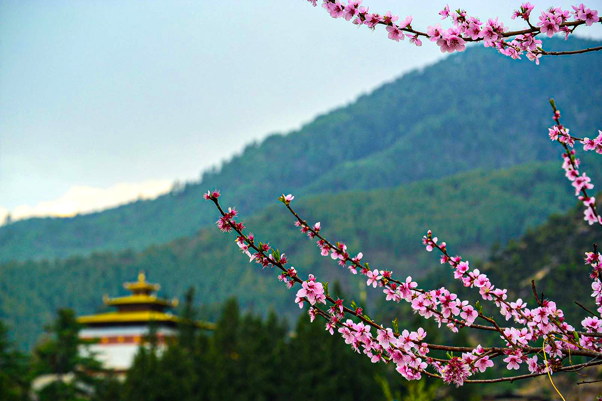 Spring Season in Bhutan